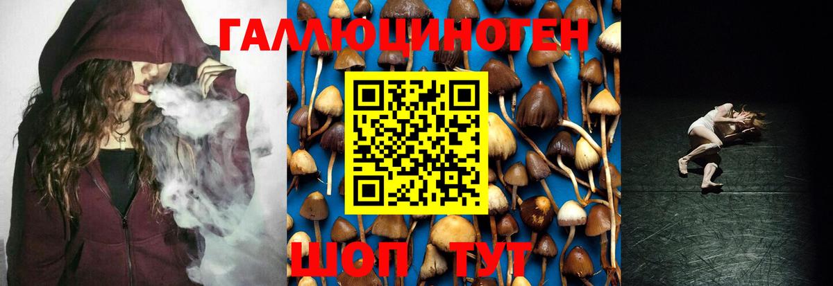 Галлюциногенные грибы мухоморы  Псилоцибиновые грибы мицелий  Асбест  Вход с VPN 