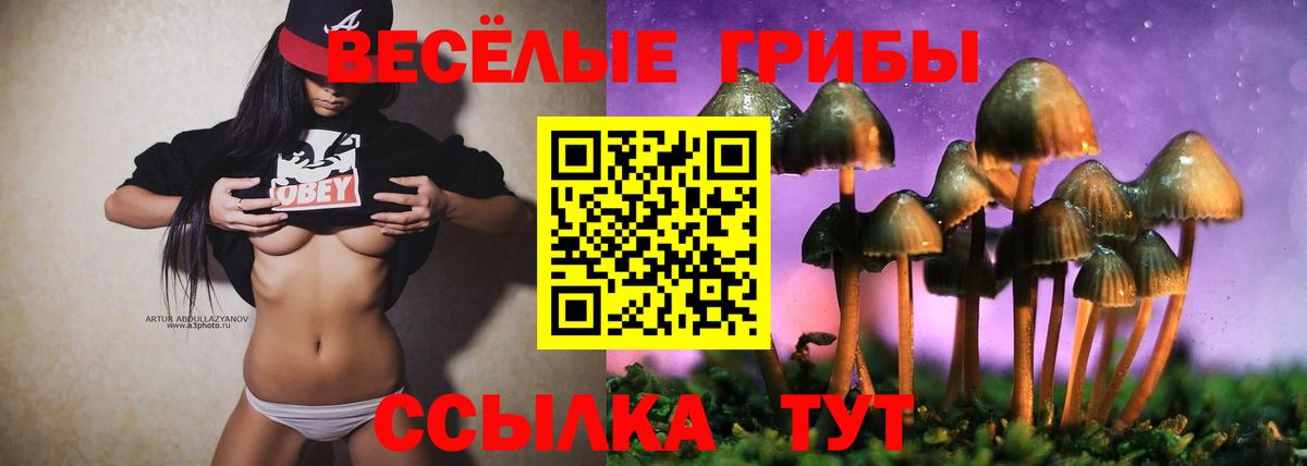 Псилоцибиновые грибы прущие грибы Асбест